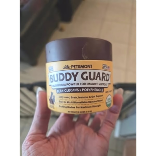A close-up, authentic photograph of a hand holding the Buddy Guard mushroom powder container in a natural home environment.